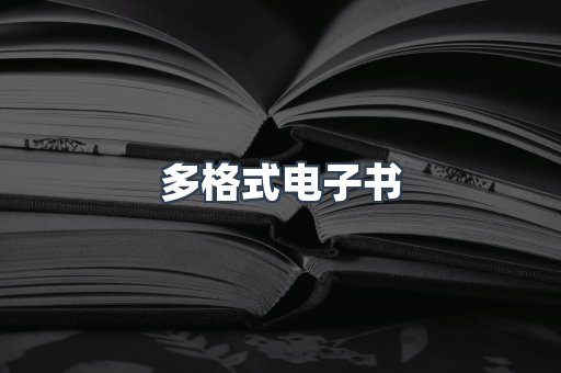 多格式电子书